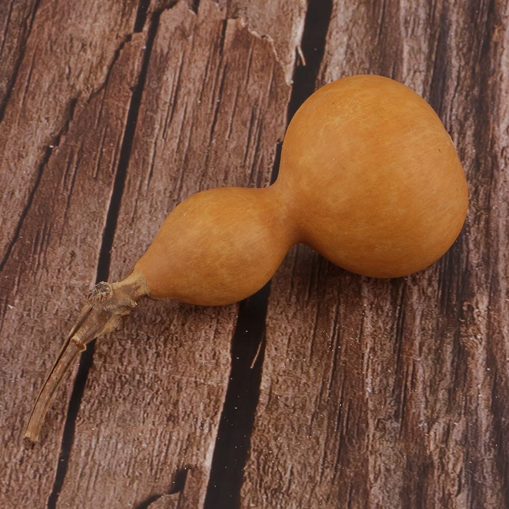 Liliana's Garden birdhouse gourd vine growth detail shows trailing, support-friendly vines.