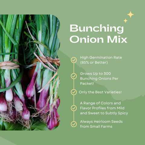 Liliana's Garden Bunching Onion Mix Fukagawa resistant to bulb formation, great in cool weather.