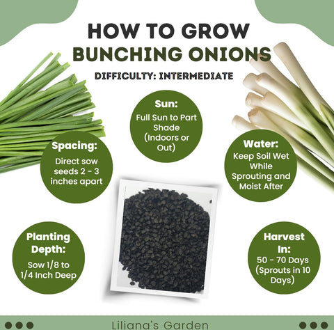 Liliana's Garden Bunching Onion Mix Liliana versatile variety with mild taste.
