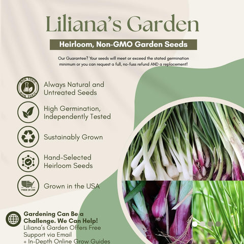 Liliana's Garden Bunching Onion Mix Red Beard red-purple base adds color.