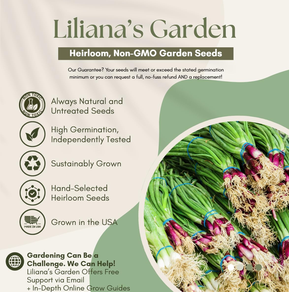 Lilianas Garden Red Beard grows 1 to 2 feet tall for garden borders
