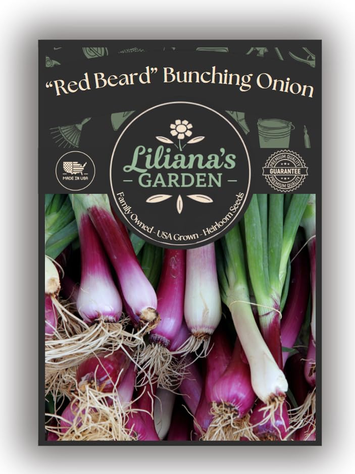 Lilianas Garden Red Beard prefers full to partial sun for steady growth