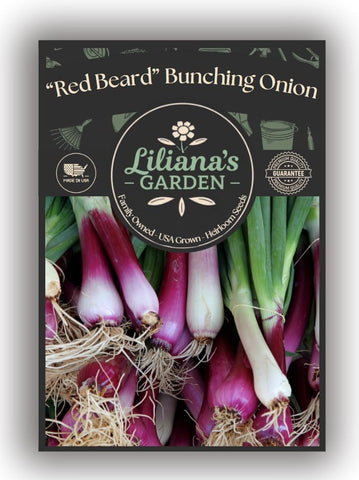 Lilianas Garden Red Beard prefers full to partial sun for steady growth