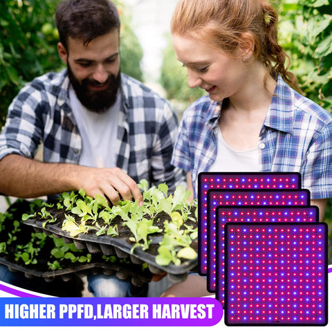Liliful 4-pack grow light panel assembly and use for indoor seed starting.