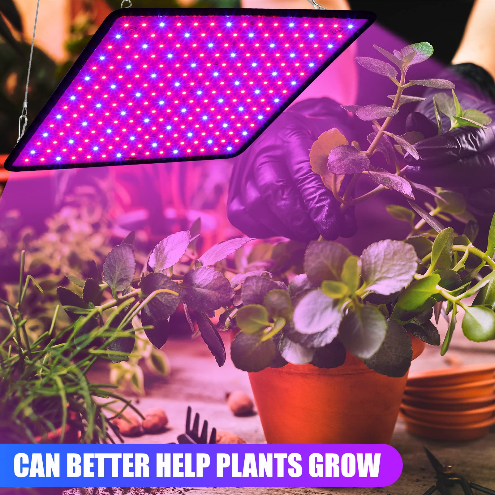 Liliful 4-pack grow light panel over seedlings for healthy sprouts.