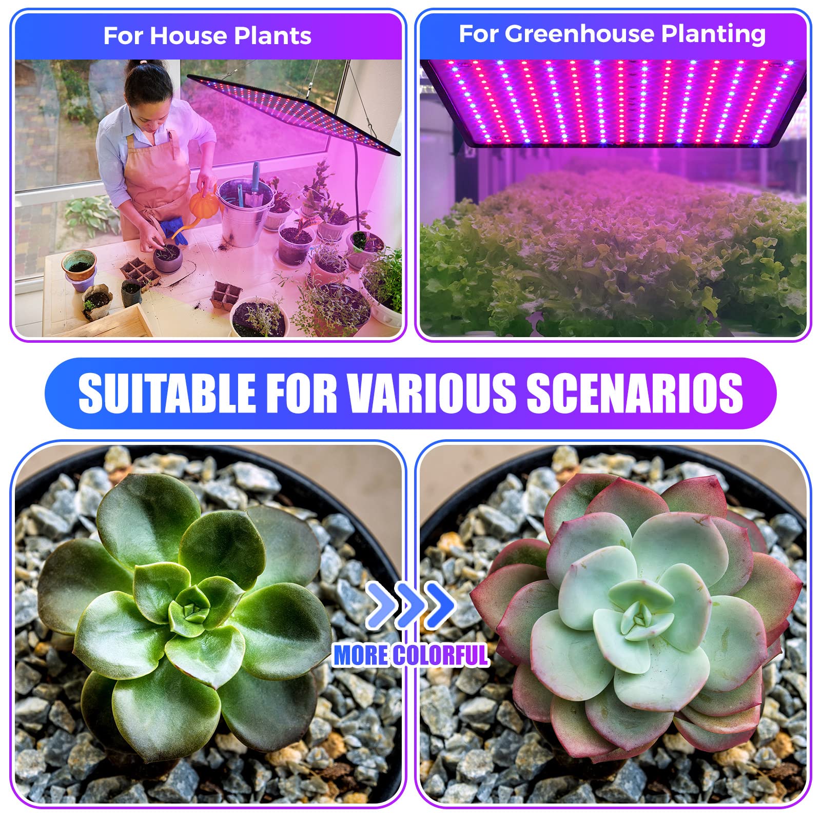 Liliful 4-pack grow light panel wiring and plugs ready for setup.