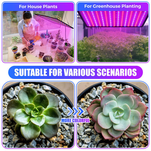 Liliful 4-pack grow light panel wiring and plugs ready for setup.