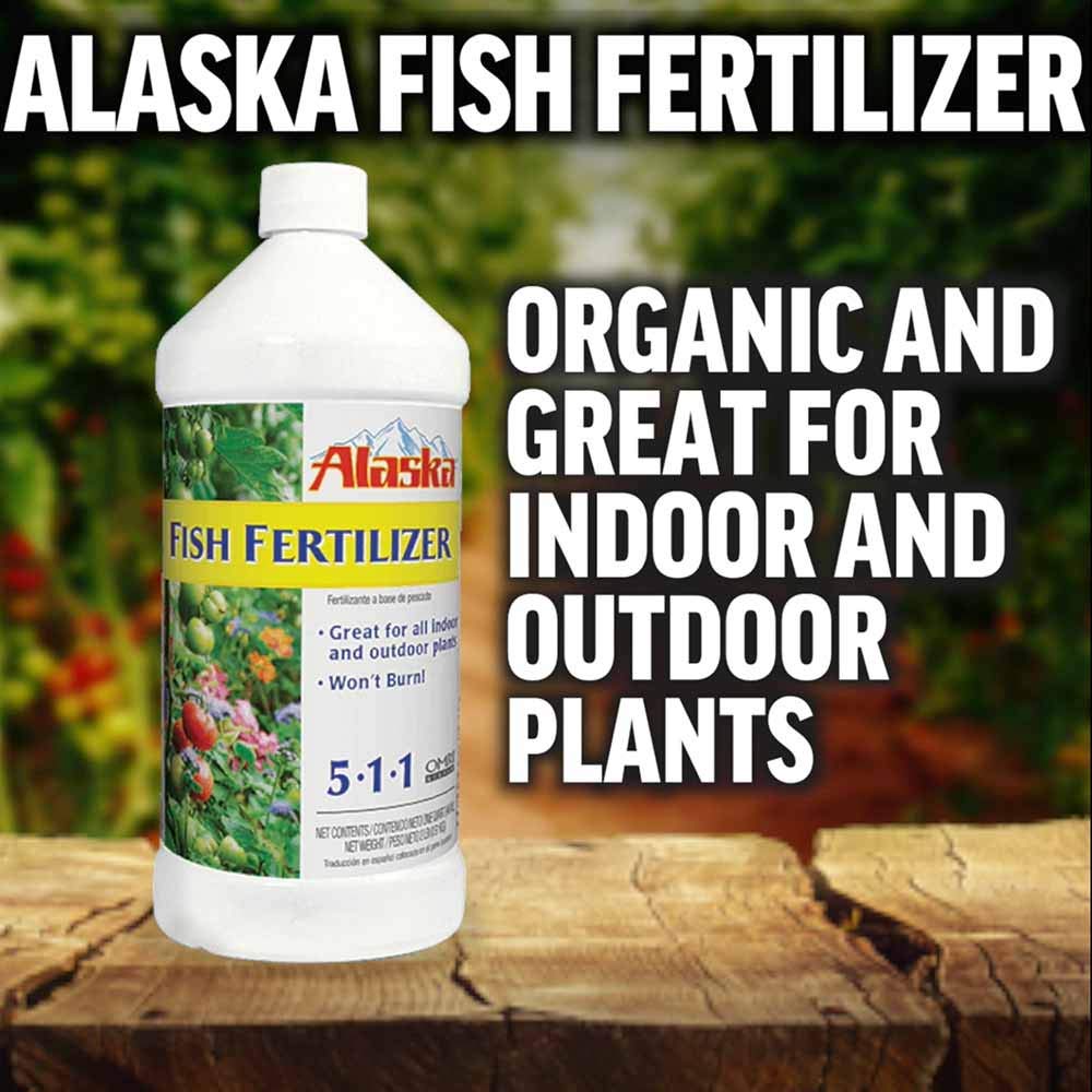 Lilly Miller Fish Emul Fertilizer 1qt dilution safe for soil enrichment.