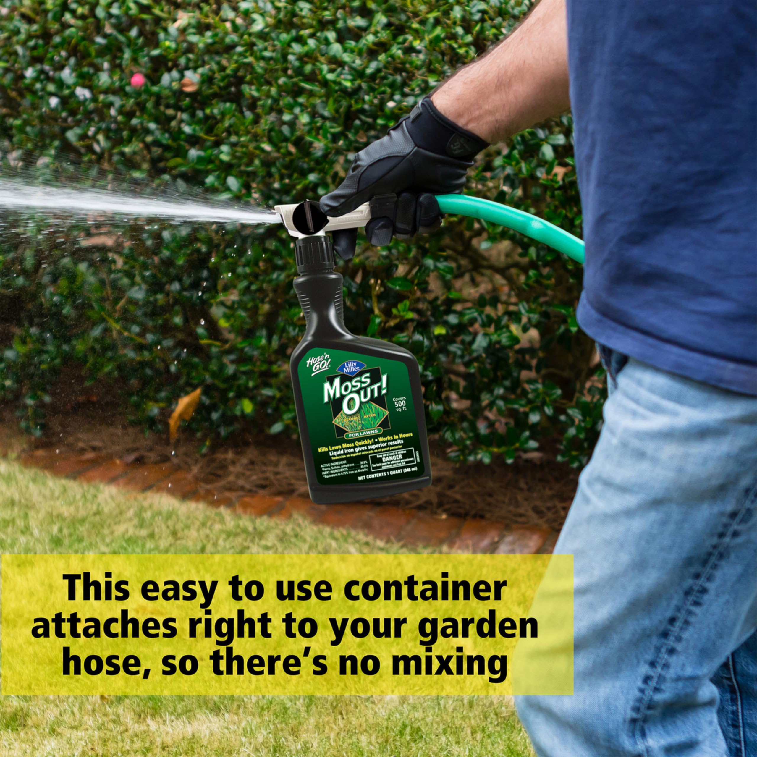 Lawn being sprayed with Moss Out to treat moss patches.