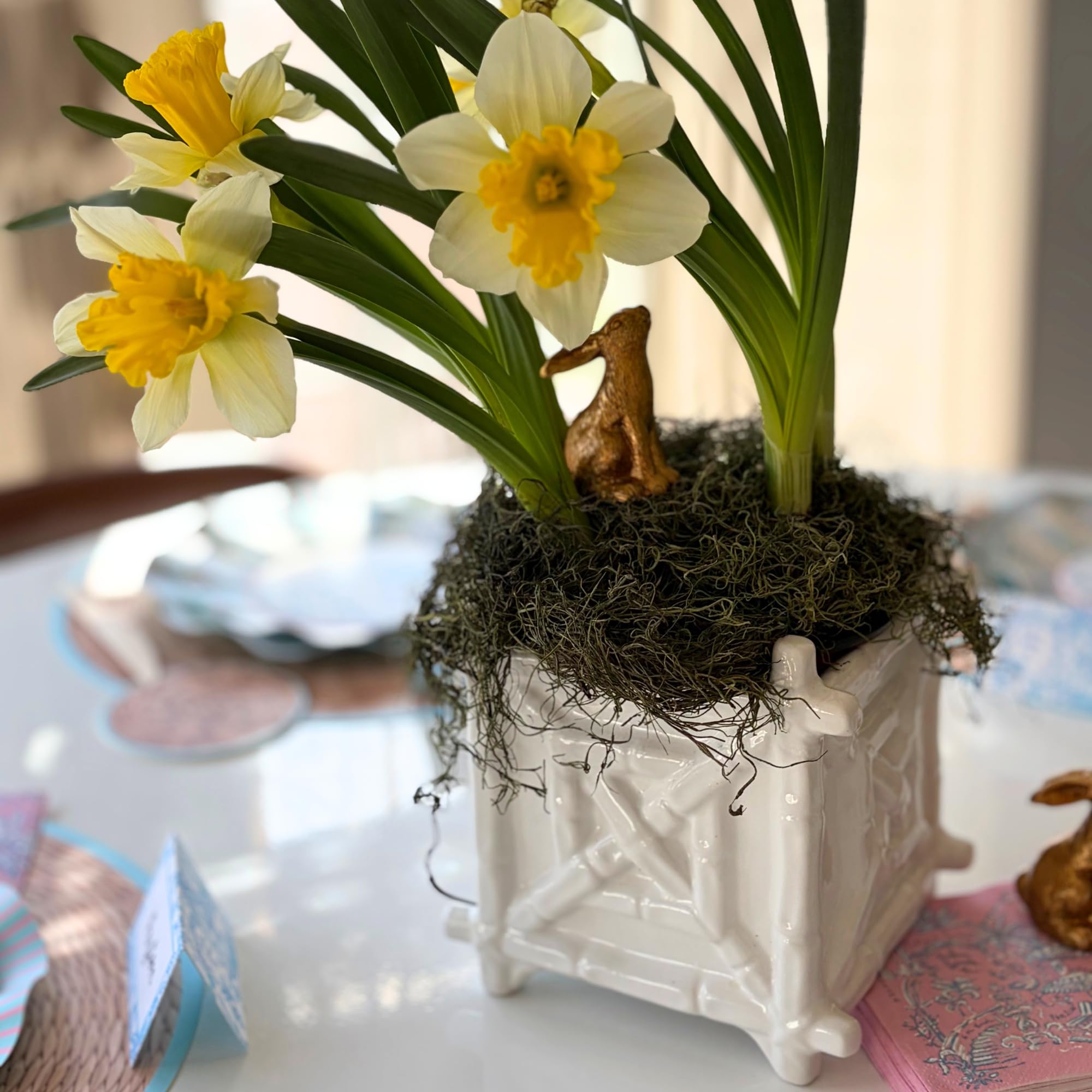 Lilly Pulitzer small planter bamboo resort white close-up ceramic finish
