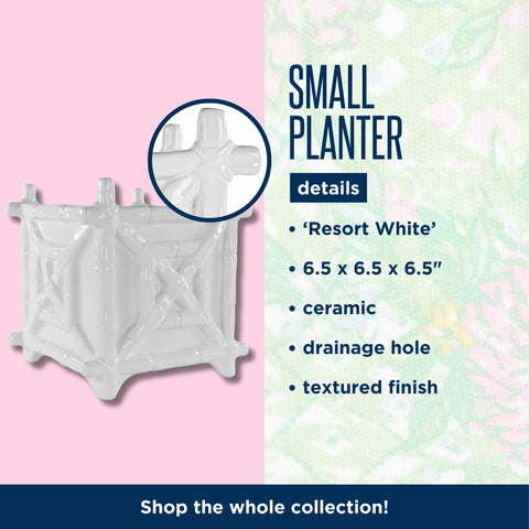 Lilly Pulitzer small planter bamboo resort white drainage hole with silicone stopper