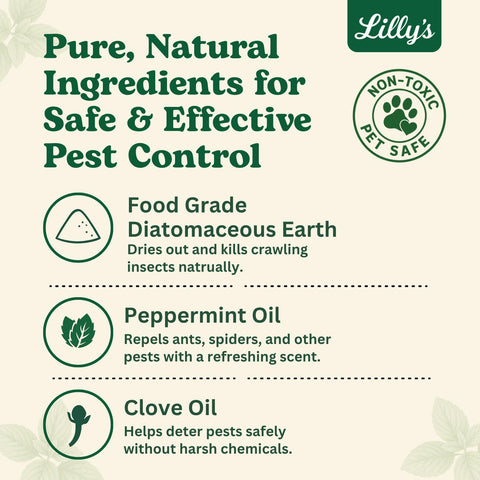 Bed bug killer powder applied to bed frame area by Lilly's Naturals
