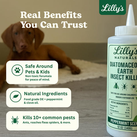 Lilly's Naturals DE texture close-up showing fine powder for pest control
