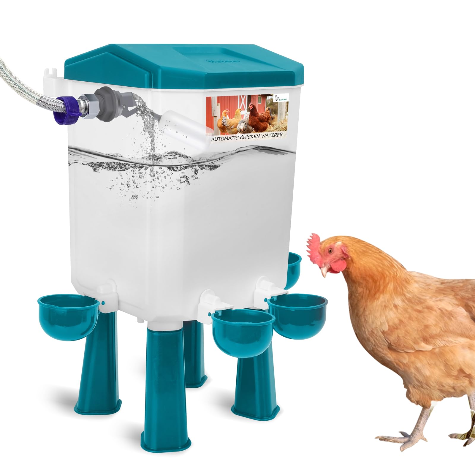 Lilyang automatic chicken waterer with float valve ensuring steady water flow and spill prevention