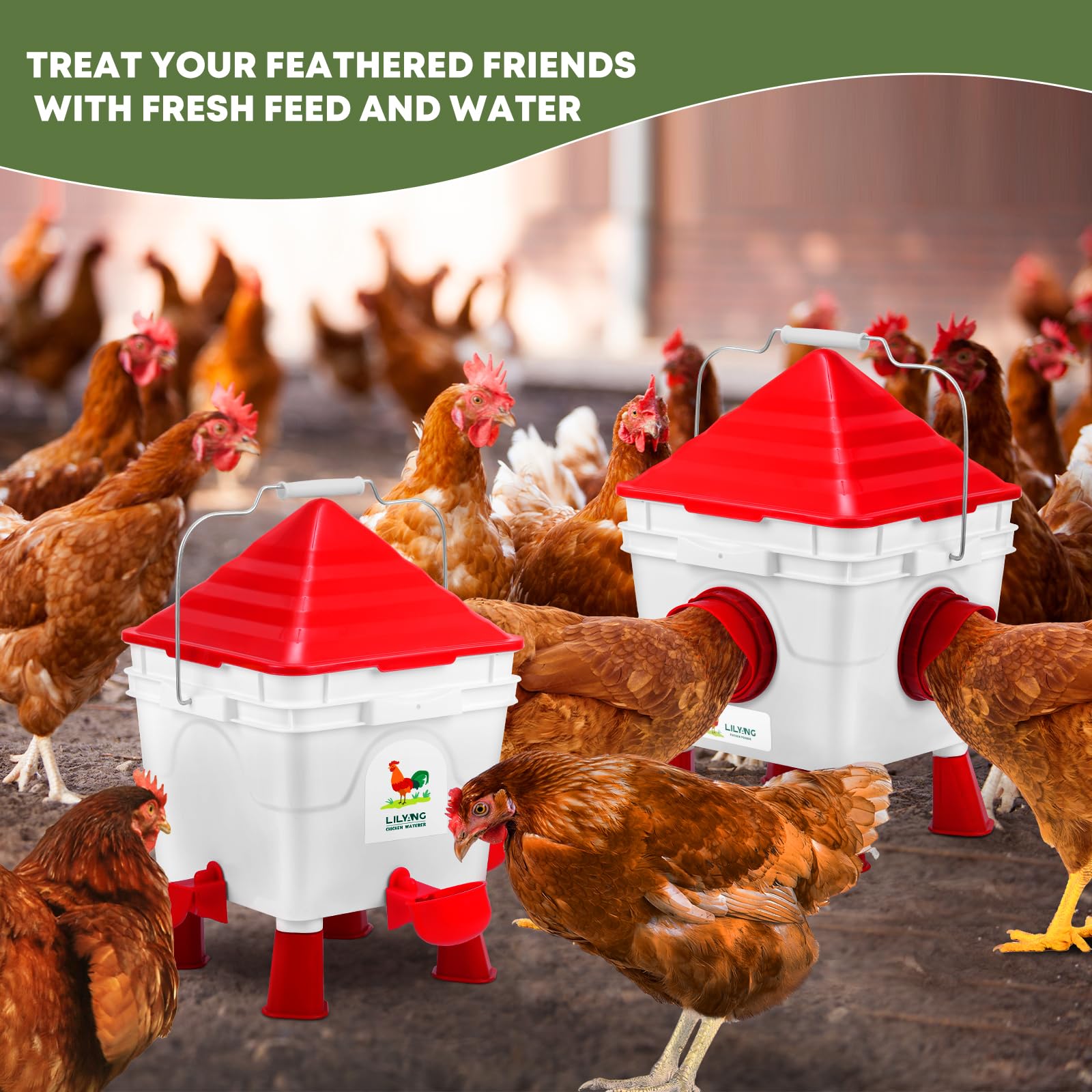 Lilyang BPA-free PP material for safe poultry use