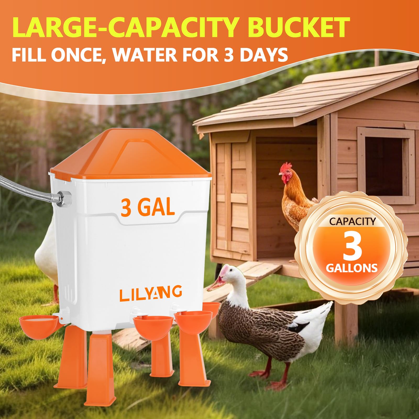 Lilyang waterer hanging-design demonstrates flexible coop installation