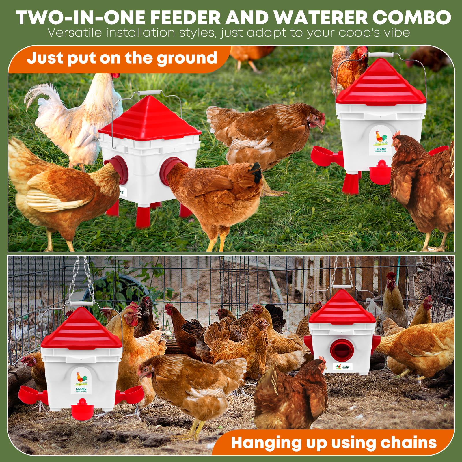 Lilyang standable design in coop for flexible placement