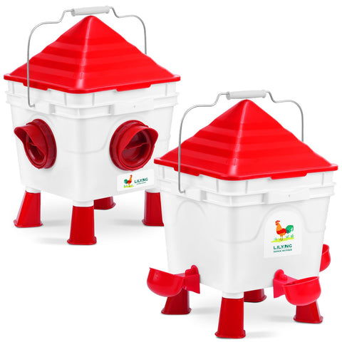 Lilyang standing chicken feeder setup in coop for easy feeding