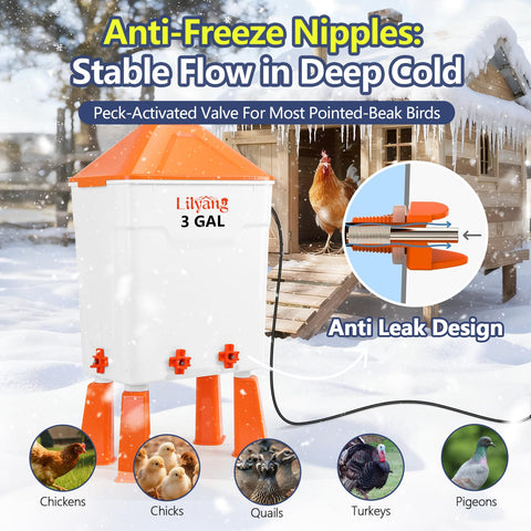 Lilyang winter-use waterer in a busy coop keeps birds hydrated during cold days.