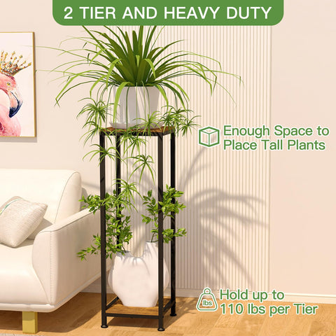 Lilybud indoor-outdoor plant display highlights greenery in corners with modern retro touch.