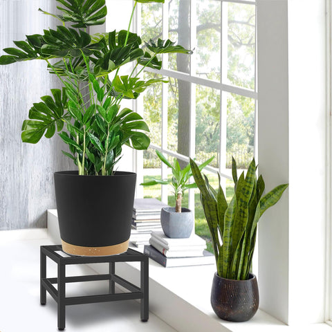Lilybud heavy-duty metal-frame stand supports sturdy plant displays.