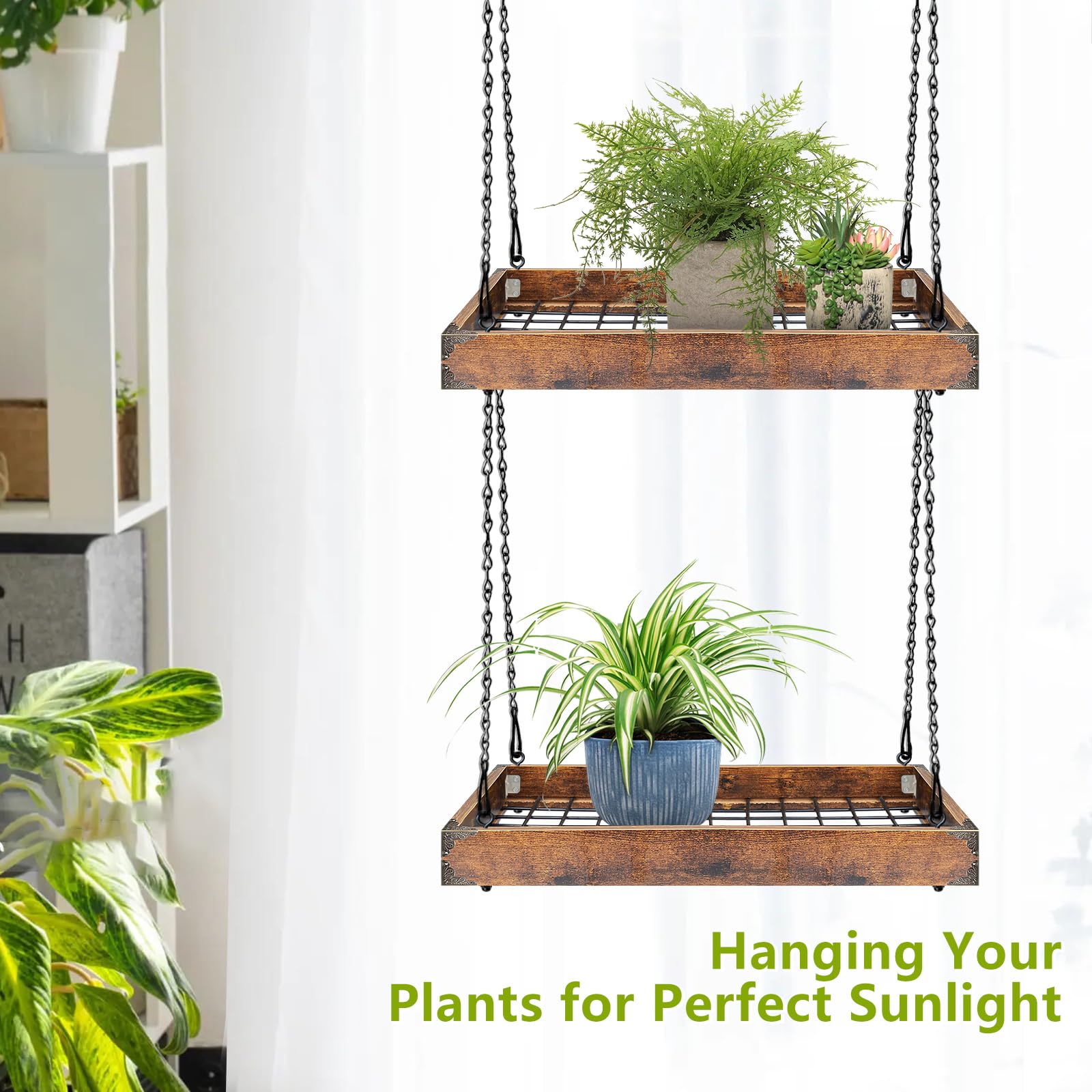 Lilybud Lily Plant Hanger supports heavy plants with 50 lb capacity and secure chains.