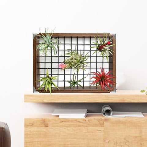 Lilybud Lily Plant Hanger MDF wood frame and metal mesh for balanced displays.