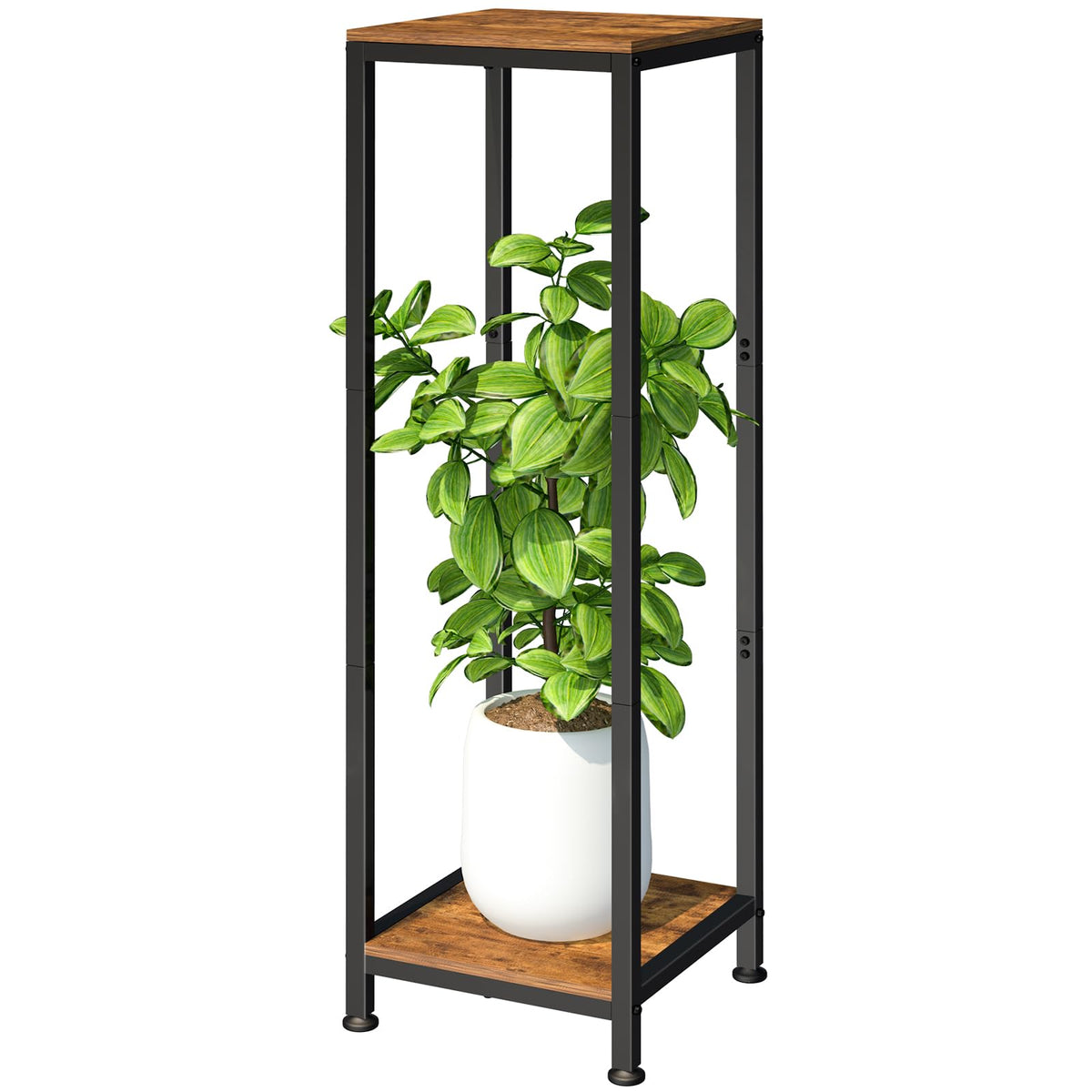 Lilybud Lily Plant Stand 41-inch height elevates sun exposure and airflow.