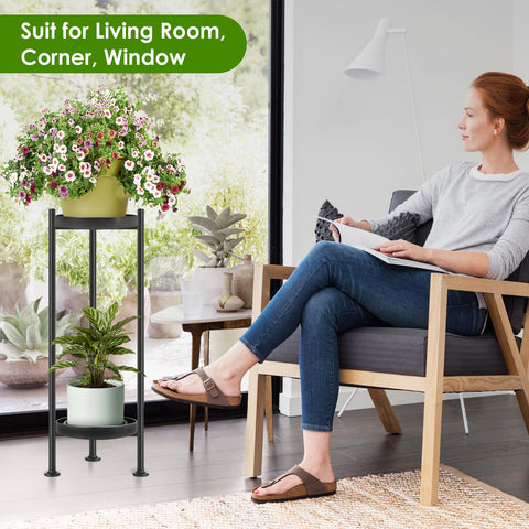 Lilybud top-shelf for nine-and-a-half-inch pots showcases balanced indoor display.