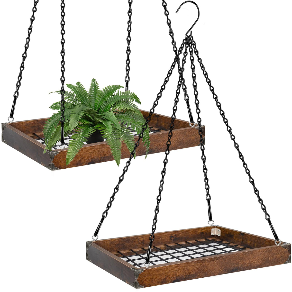 Lilybud plant hanger with wood frame supports indoor plants securely.