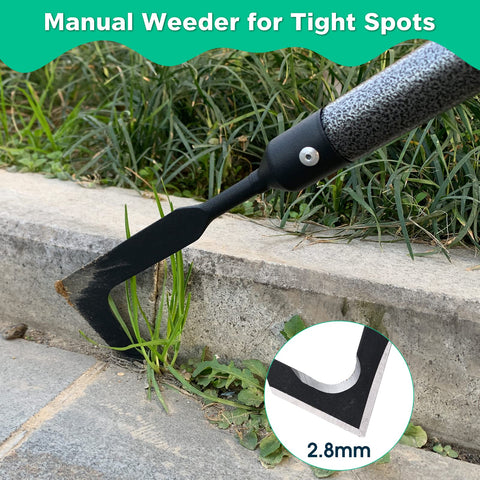 Lilyvane crack weeder angled head removes weeds from tight cracks