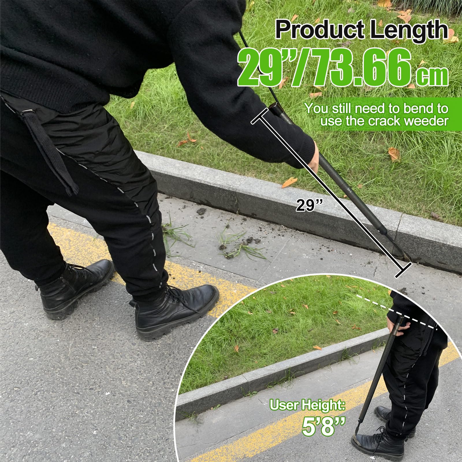 Lilyvane crevice weeder used in sidewalk cracks for safe weeding.