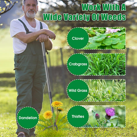 Lilyvane durable all-metal construction for long-lasting garden use