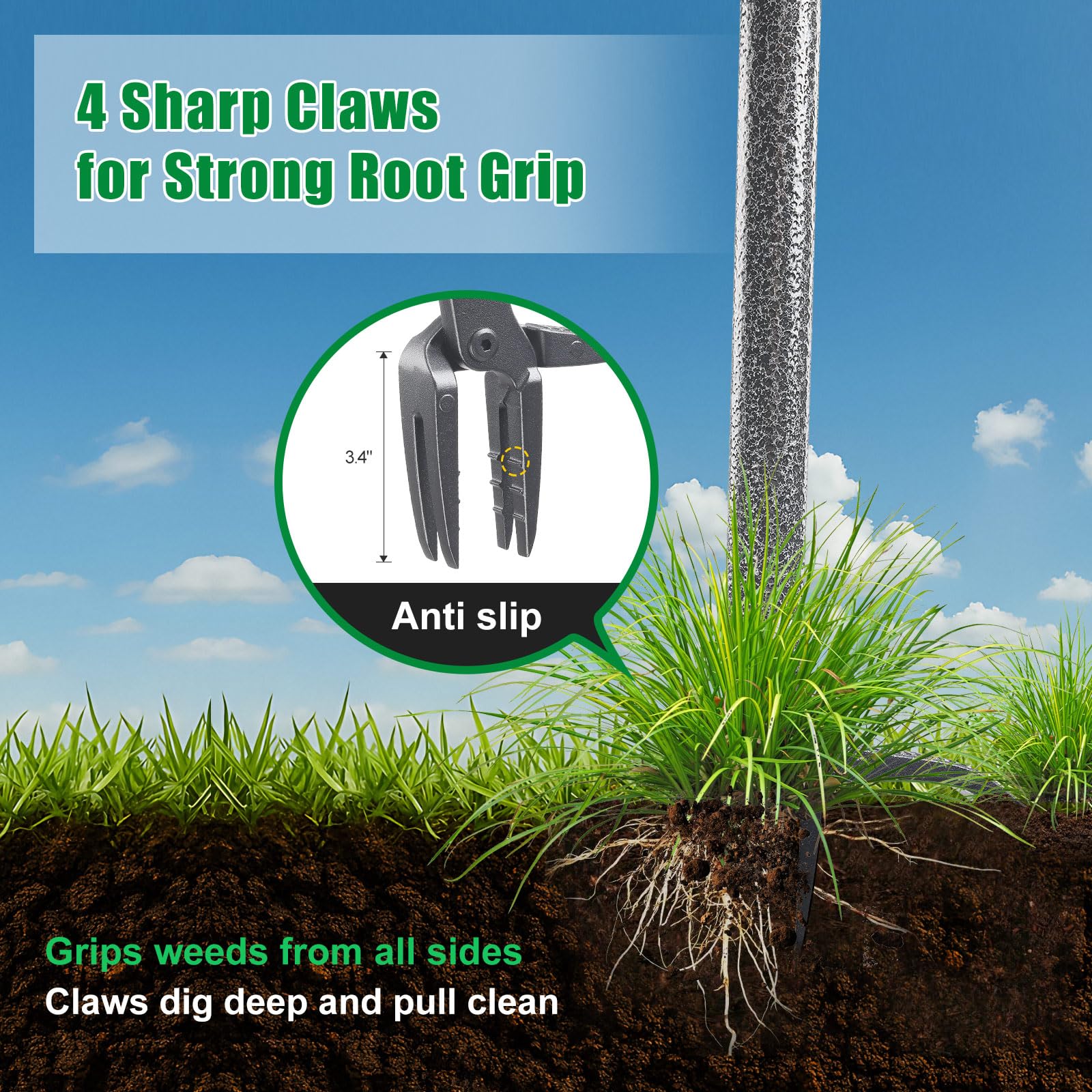 Lilyvane four-claw steel head grips deep-rooted weeds from the root