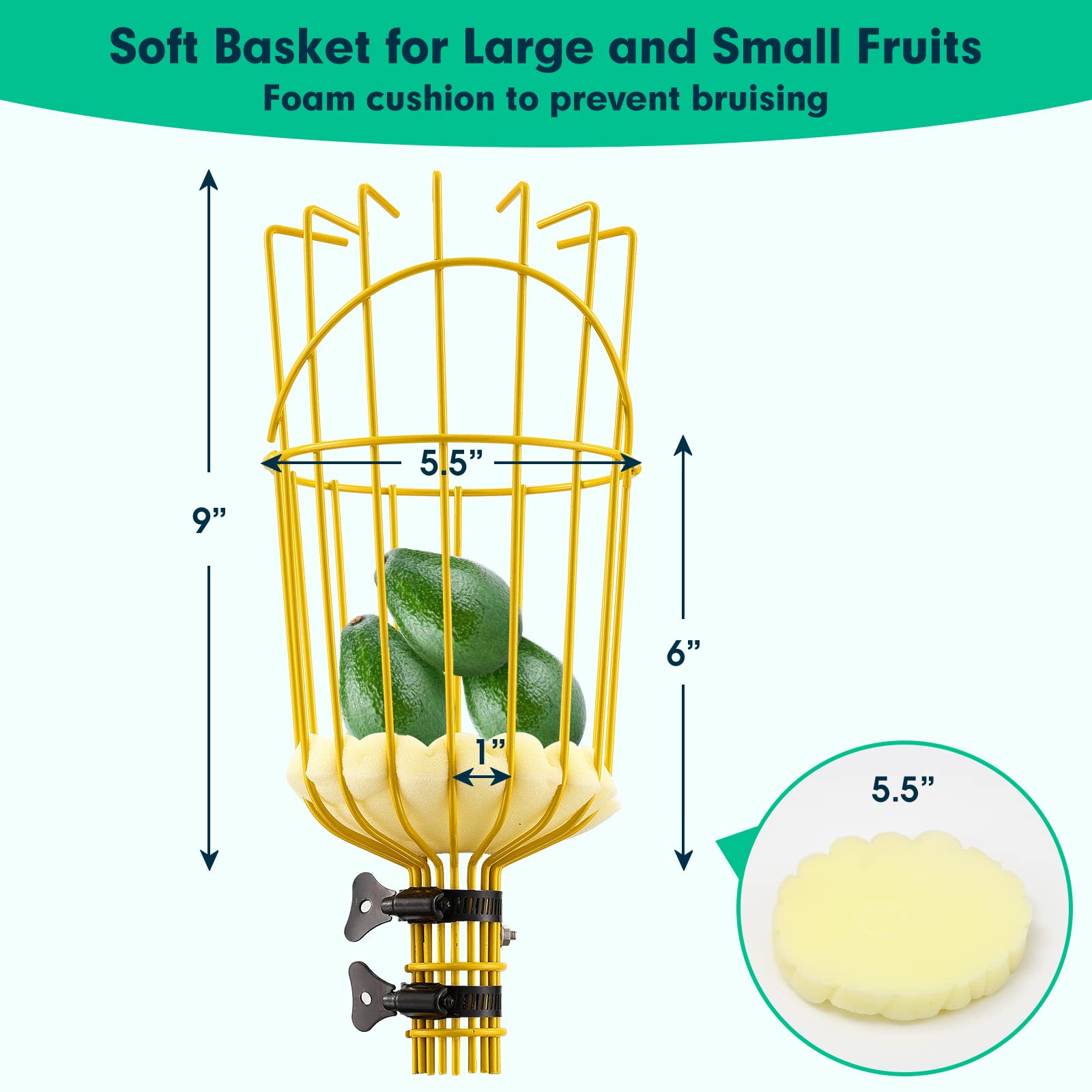 Lilyvane basket attachment secured to the pole for safe fruit reception.