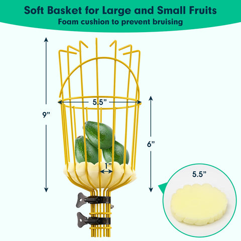 Lilyvane basket attachment secured to the pole for safe fruit reception.