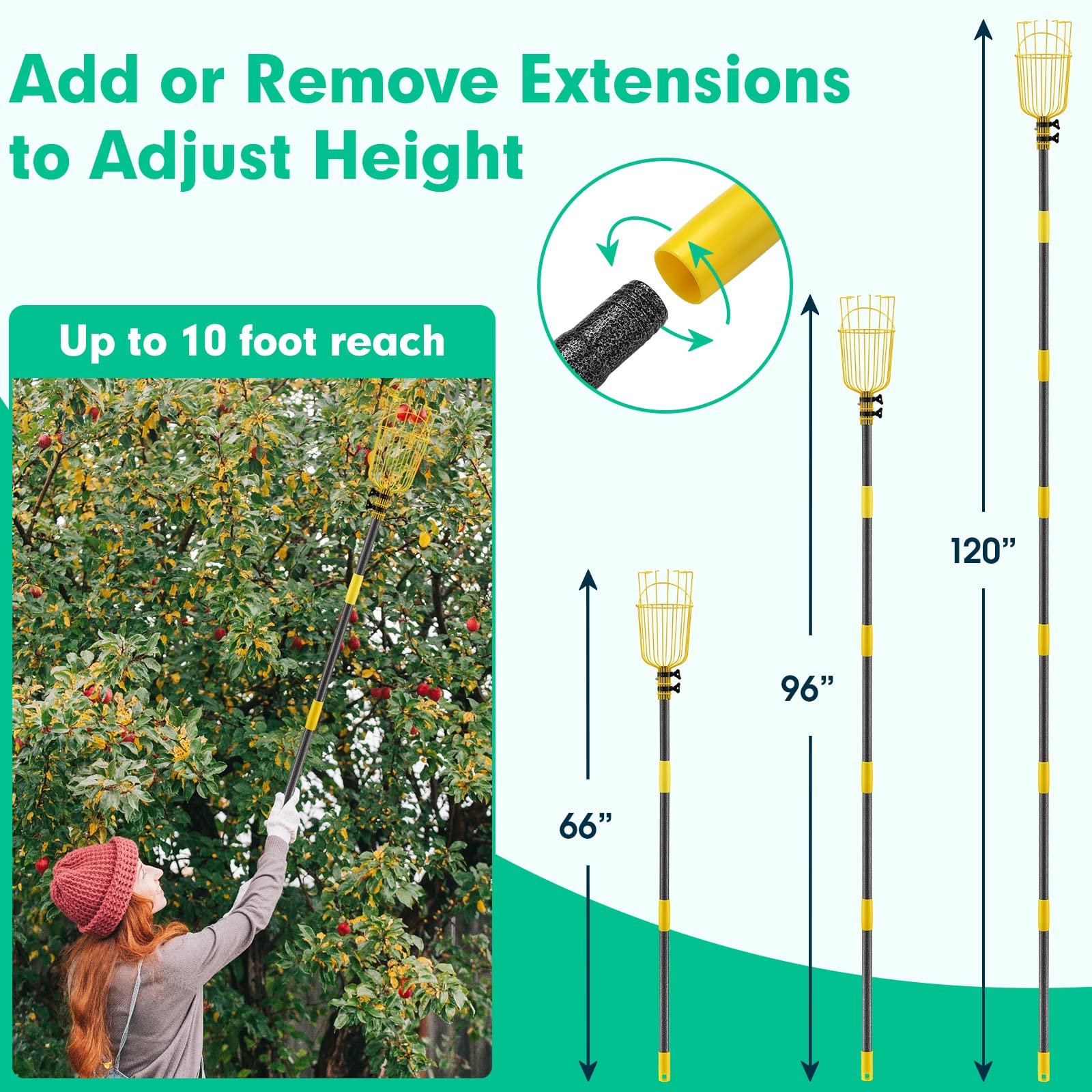 Lilyvane soft foam pad protects fruit skins during picking.
