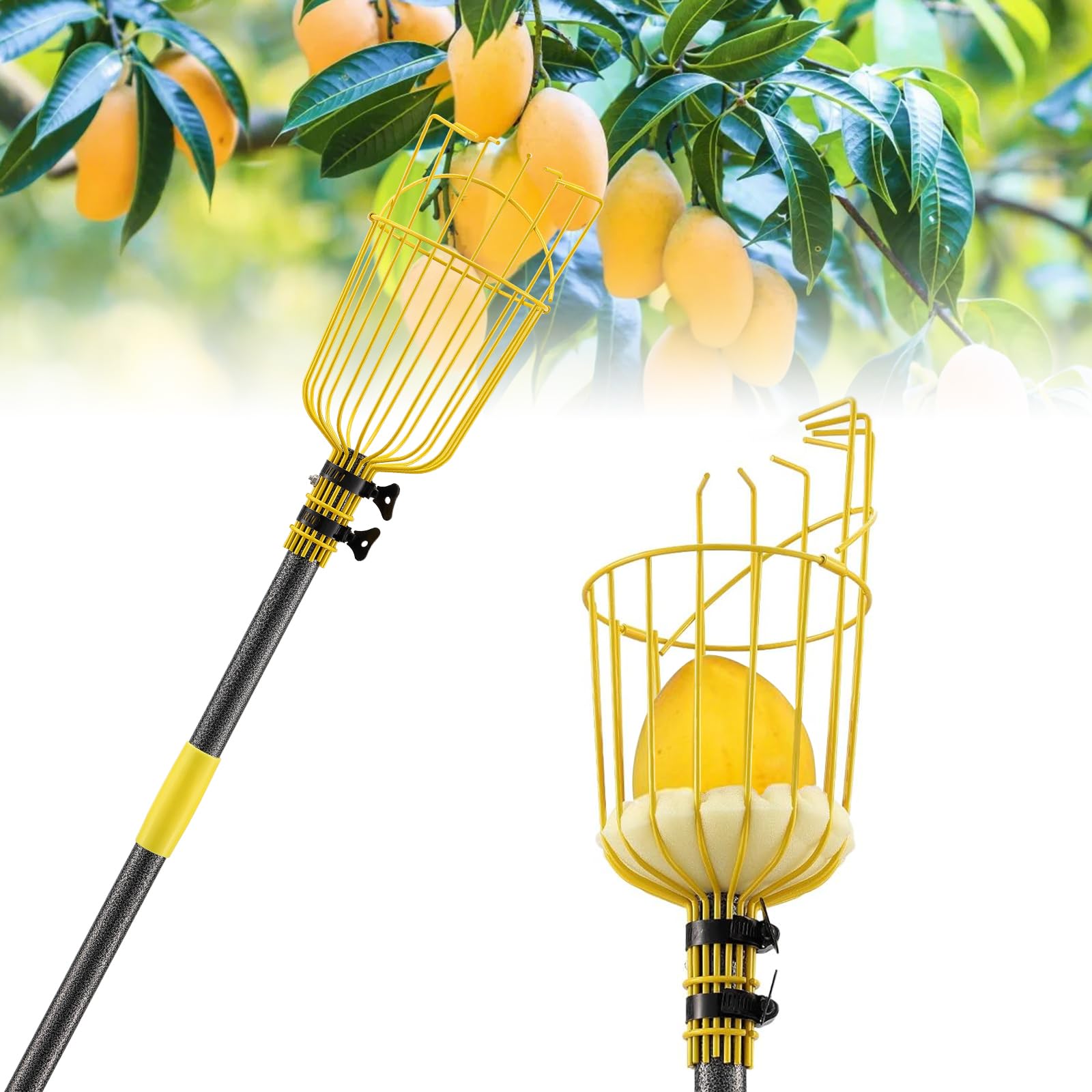 Lilyvane fruit picker pole assembly demonstrates sturdy setup for efficient harvesting.