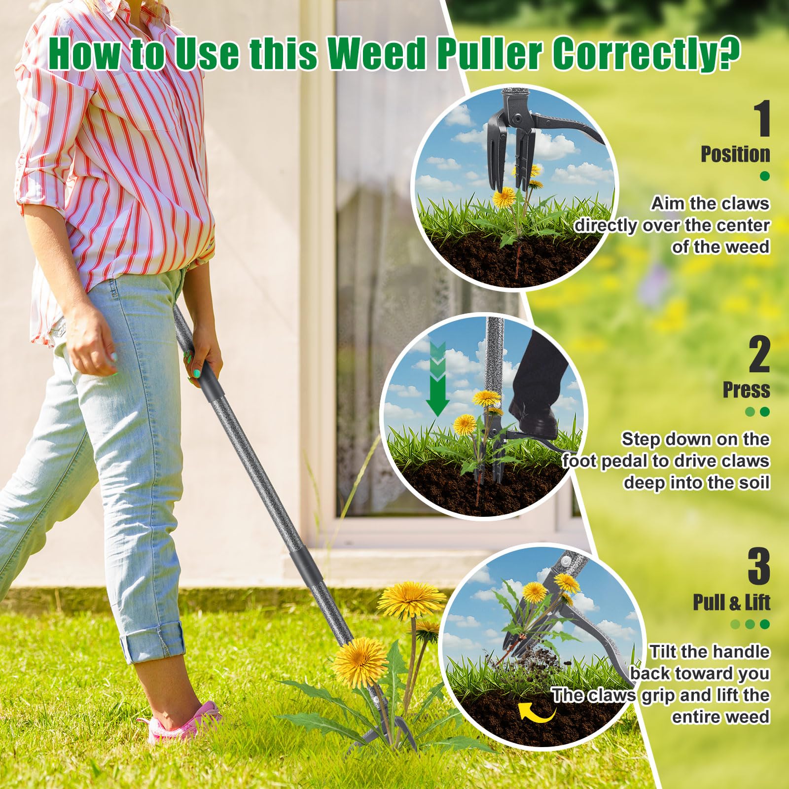 Lilyvane weed puller with sharp tapered claw edges for easy soil entry