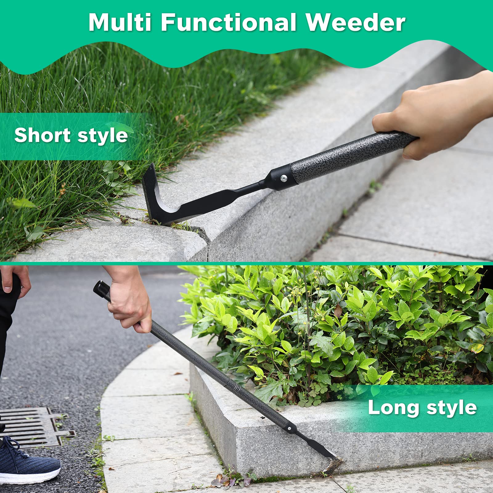 Lilyvane weeding action along sidewalk cracks