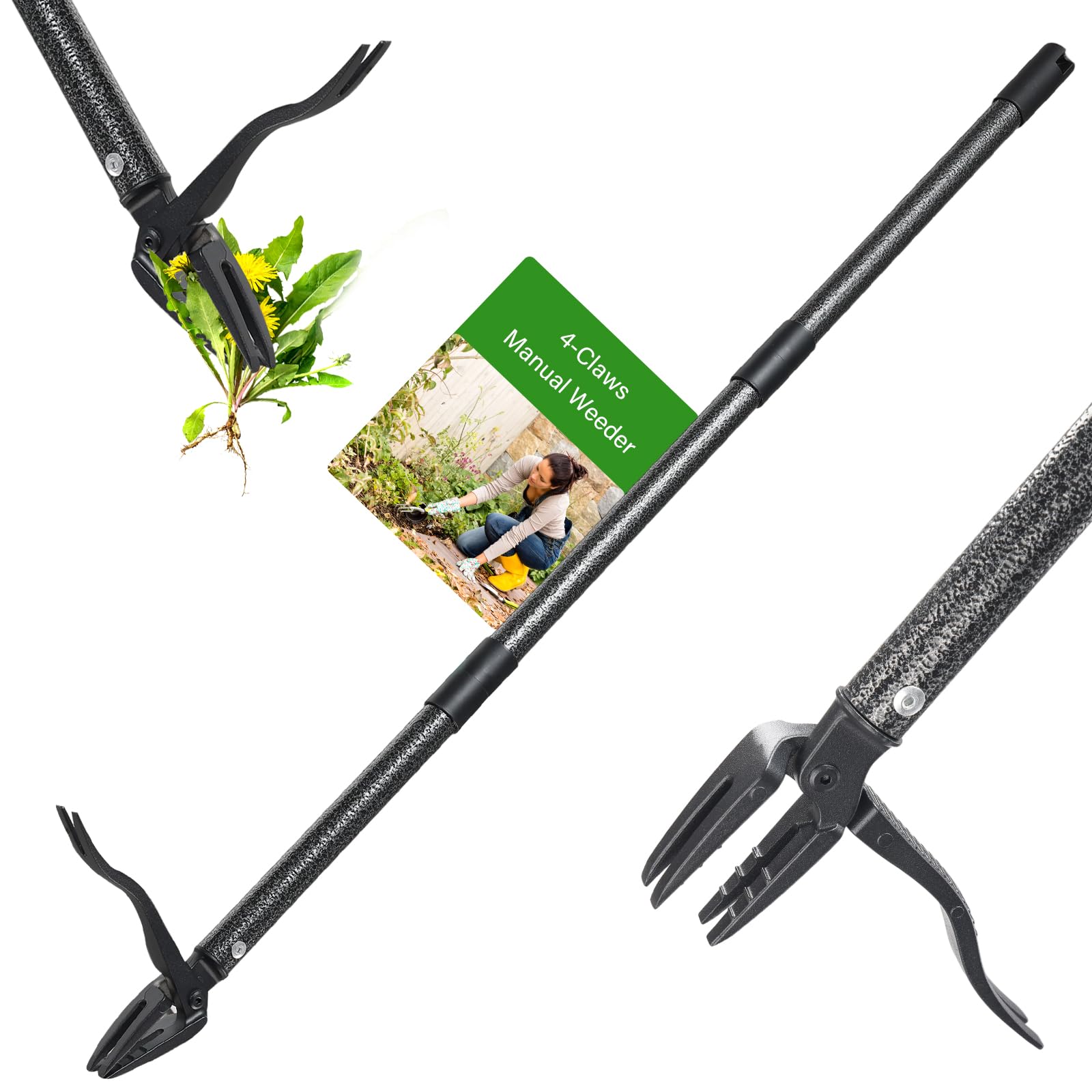 Lilyvane weed puller tool with 60 inch stand-up design for upright weeding
