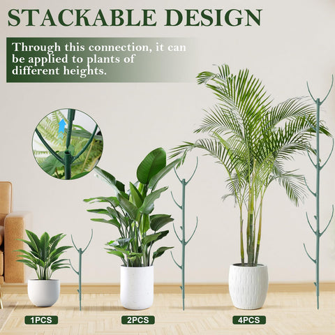 Linastu indoor and outdoor compatibility for Monstera, pothos, ivy