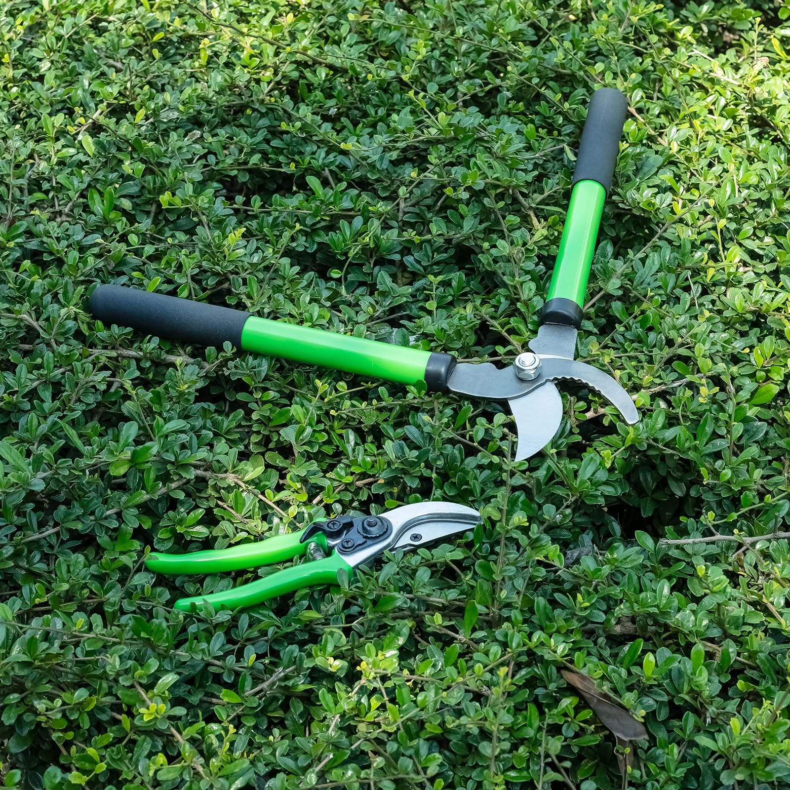 Linatikou Pro Pruning Shears includes lifetime warranty and US-based support