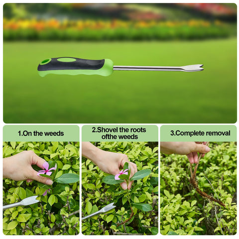 Linatikou two-pronged fork targets weeds in tight spaces and cracks precisely.