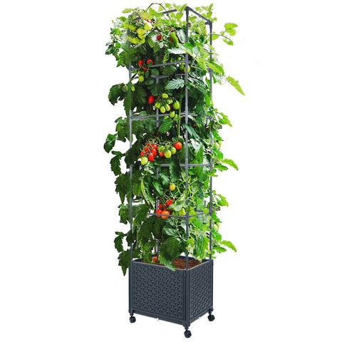 LINEX raised garden bed with trellis enables easy, elevated tomato cultivation.