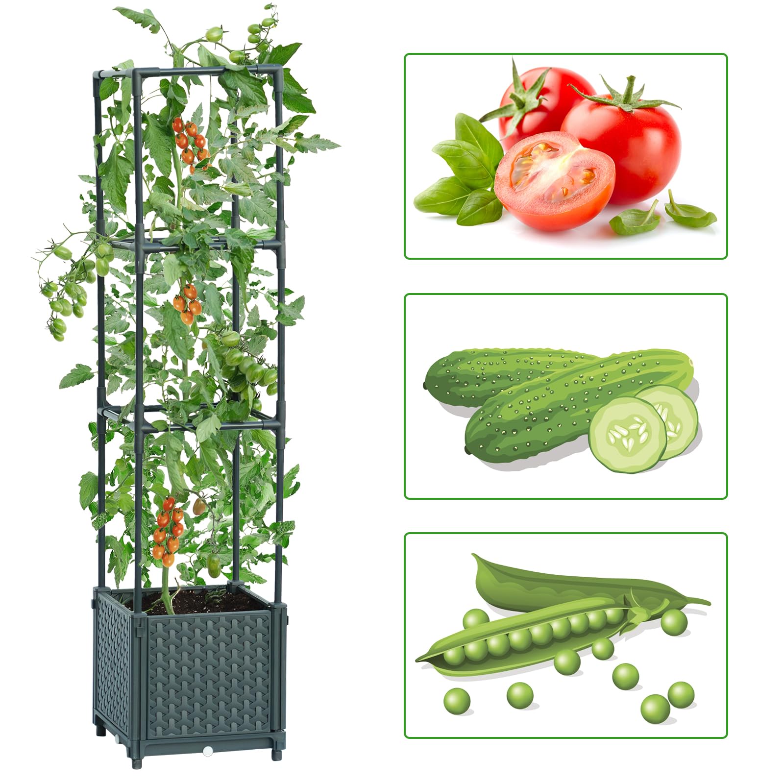 LINEX self-watering reservoir provides days of plant hydration