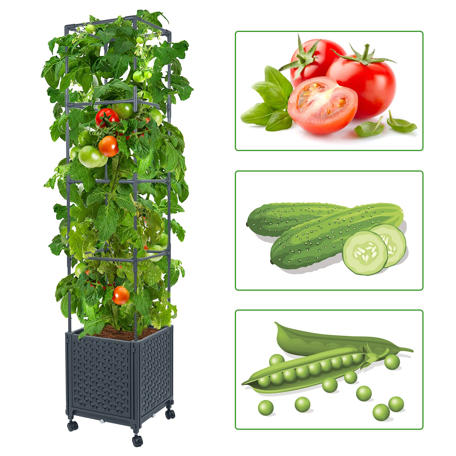LINEX self-watering reservoir keeps plants hydrated for days with minimal care