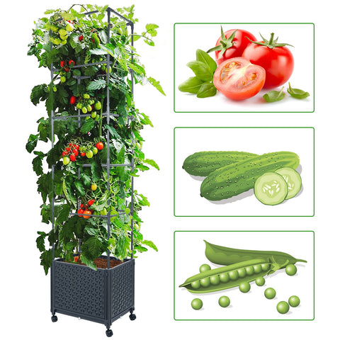 LINEX trellis planter with self-watering reservoir keeps roots hydrated between fills.