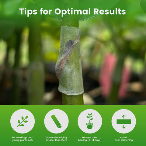 LINMUSEN garden use visual emphasizes versatility for vegetables, flowers, and fruit tree grafts.