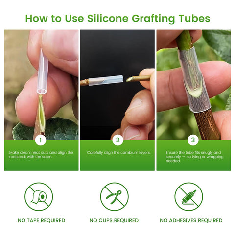 LINMUSEN soft silicone material closeup demonstrates gentle support for young graft unions.